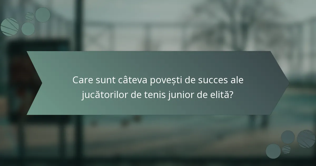 Care sunt câteva povești de succes ale jucătorilor de tenis junior de elită?