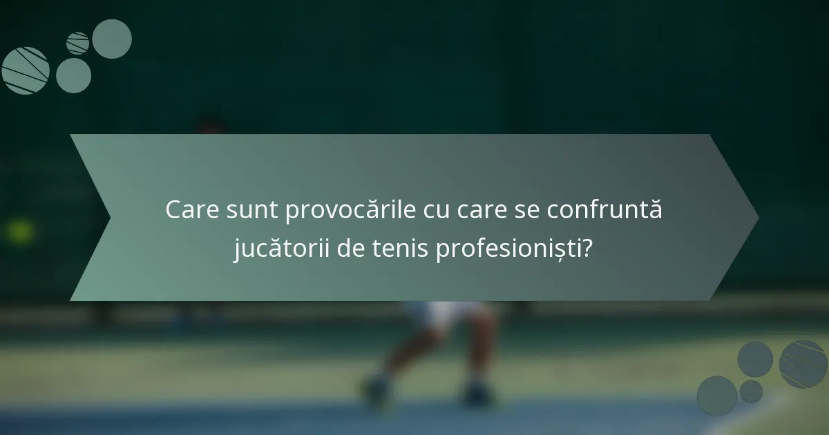 Care sunt provocările cu care se confruntă jucătorii de tenis profesioniști?
