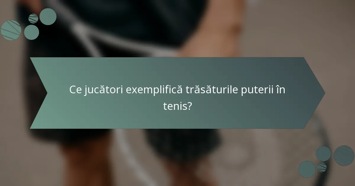 Ce jucători exemplifică trăsăturile puterii în tenis?
