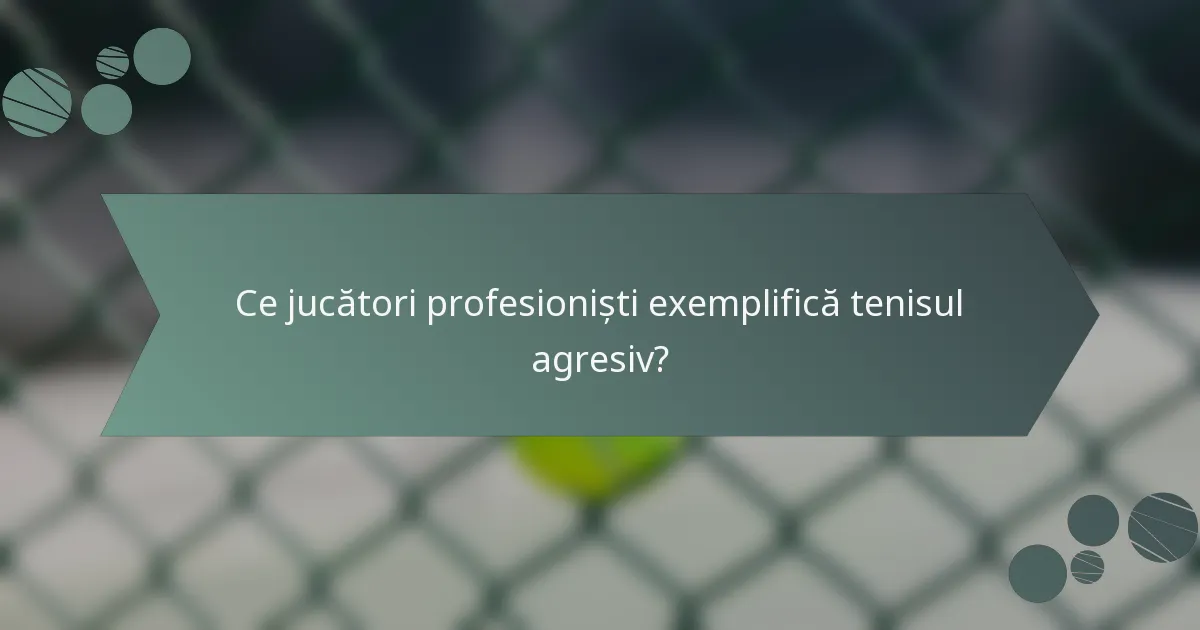 Ce jucători profesioniști exemplifică tenisul agresiv?