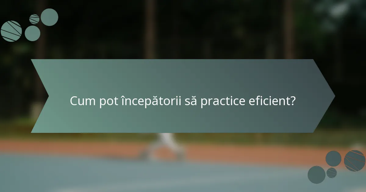 Cum pot începătorii să practice eficient?